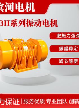 YBH-120-4B振动电机功率8W震动电机转速1460