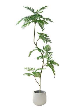 蓝花楹仿真绿植落地盆栽仿生植物摆件室内客厅沙发旁装饰盆景假树