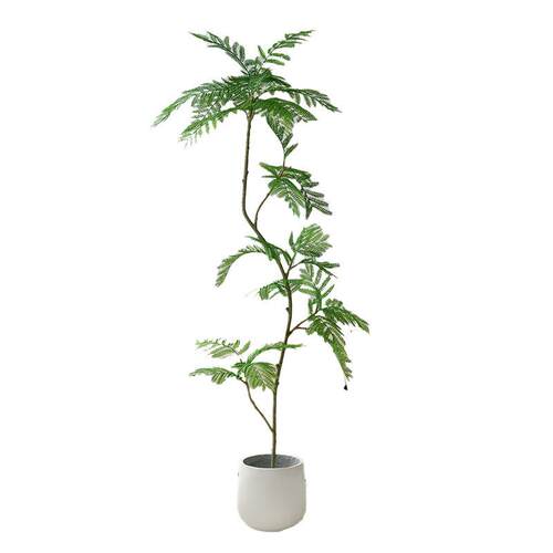 蓝花楹仿真绿植落地盆栽仿生植物摆件室内客厅沙发旁装饰盆景假树