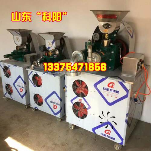 厂家电动面条家用小型意大利面机不锈钢面条机xbf