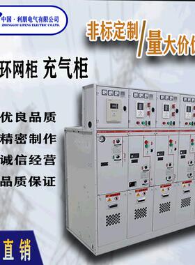 国标准化环网网柜户外开闭高压开关成柜10CND所kv一二次融合套环