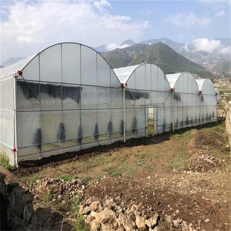 温室大棚拱棚po膜连栋智能温室薄膜大型简易避光种植植物花房