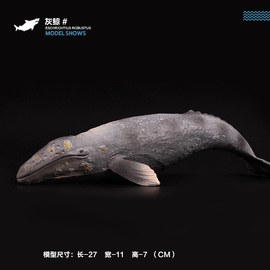 儿童实心仿真野生动物海洋海底生物模型灰鲸鲨灰鲸座头鲸鲨鱼大白