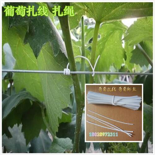 厂家生产葡萄绑枝扎丝葡萄架专用扎线优质耐用葡萄扎带12公分
