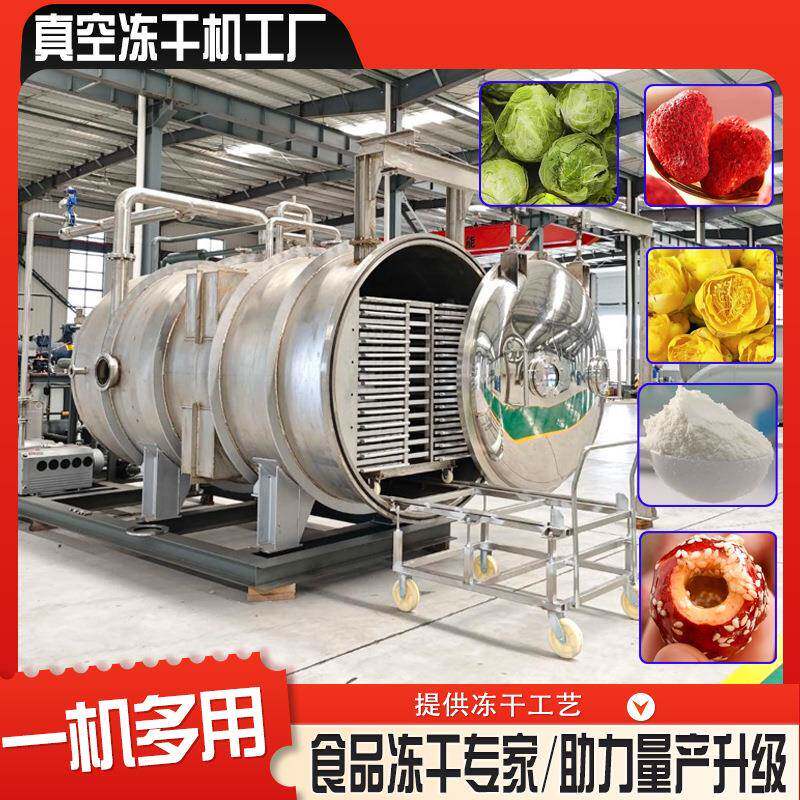 水果冻干机加工食品冻干机械商用大型蔬菜大葱冷冻干燥机
