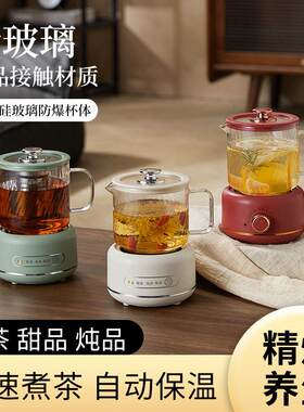 迷你养生壶小型办公室长效保温学生养生杯花茶壶煮茶烧水壶送礼品