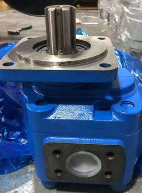供应齿轮泵CBGJ2100-B2L 钻机液压泵多种规格