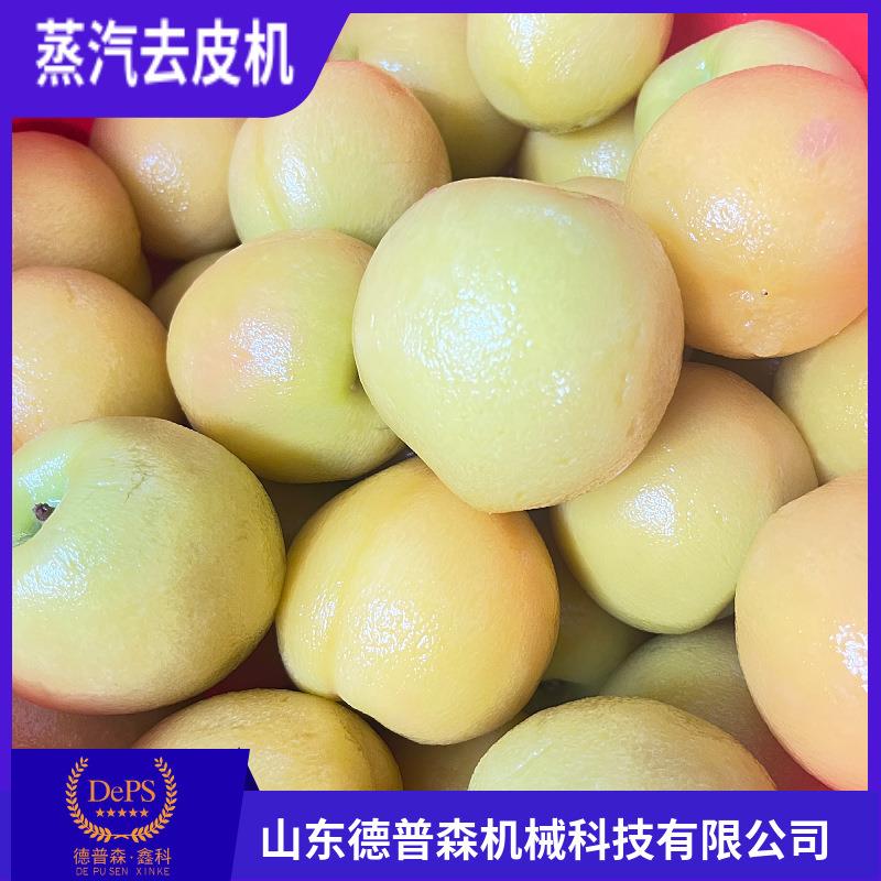 大型物理高温脱皮机工业全自动桃子洋葱莲藕无花果去皮机