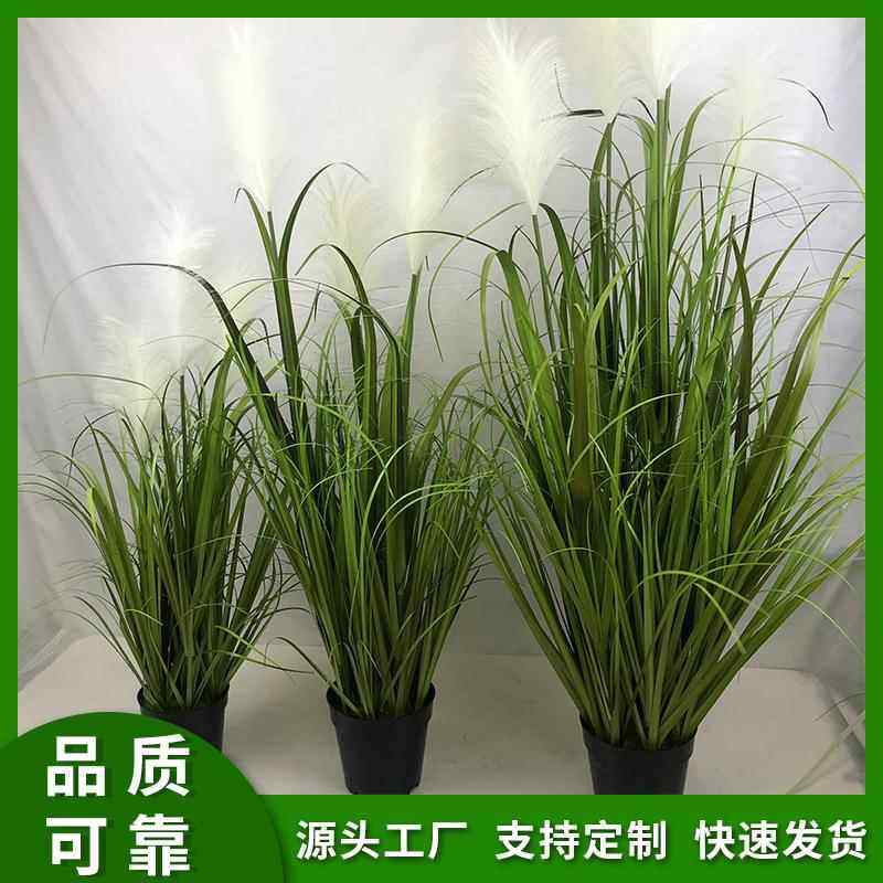 仿真盆景日系苗苗花艺家居植物客厅装饰盆景大型仿真植物仿真芦苇