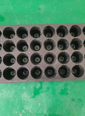 白色蓝色黑色24孔滴灌带草莓加厚育苗盘秧苗盘50孔桉树塑料穴盘