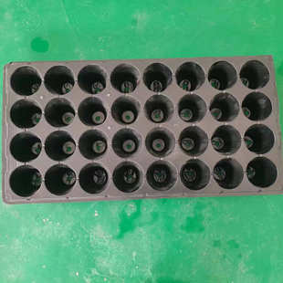 白色蓝色黑色24孔滴灌带草莓加厚育苗盘秧苗盘50孔桉树塑料穴盘