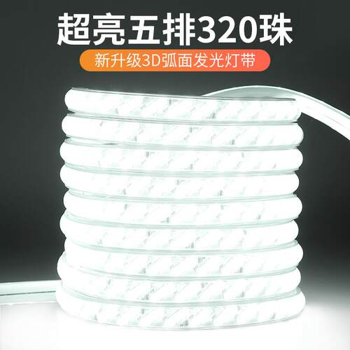 LED灯带220v户外防水地下室隧道工地亮化装饰照明白光灯条24V之满