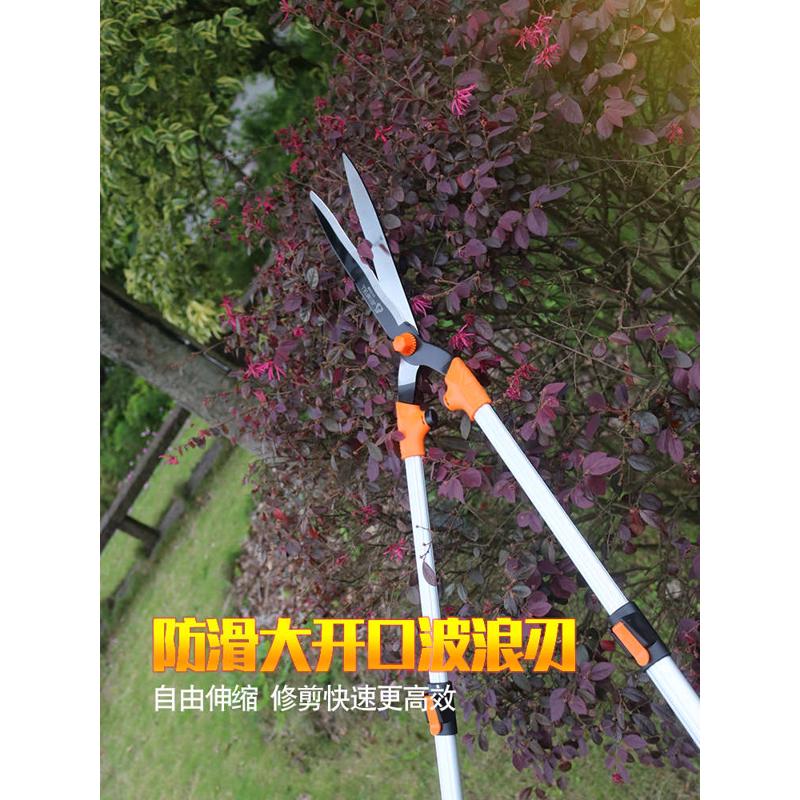 园艺园林绿化修枝工具修枝剪花园剪草大剪刀修剪花木树枝强力剪刀
