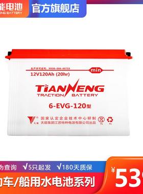 天能80ah100ah120ah叉车电池水电池水电瓶三轮车电瓶