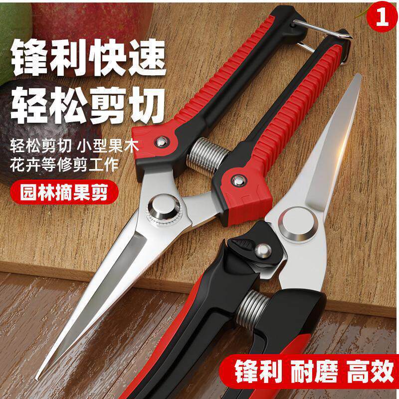 亚马逊热销修枝剪刀园艺采摘果枝剪园林葡萄希果柑橘剪枝专用剪刀