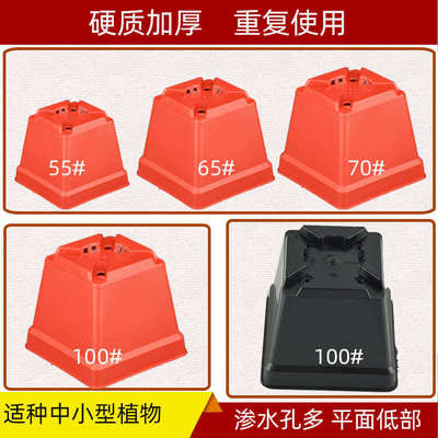 肉钵色[厂花盆多价育苗基地培植杯花卉]塑料营养方型黑红直供盆栽