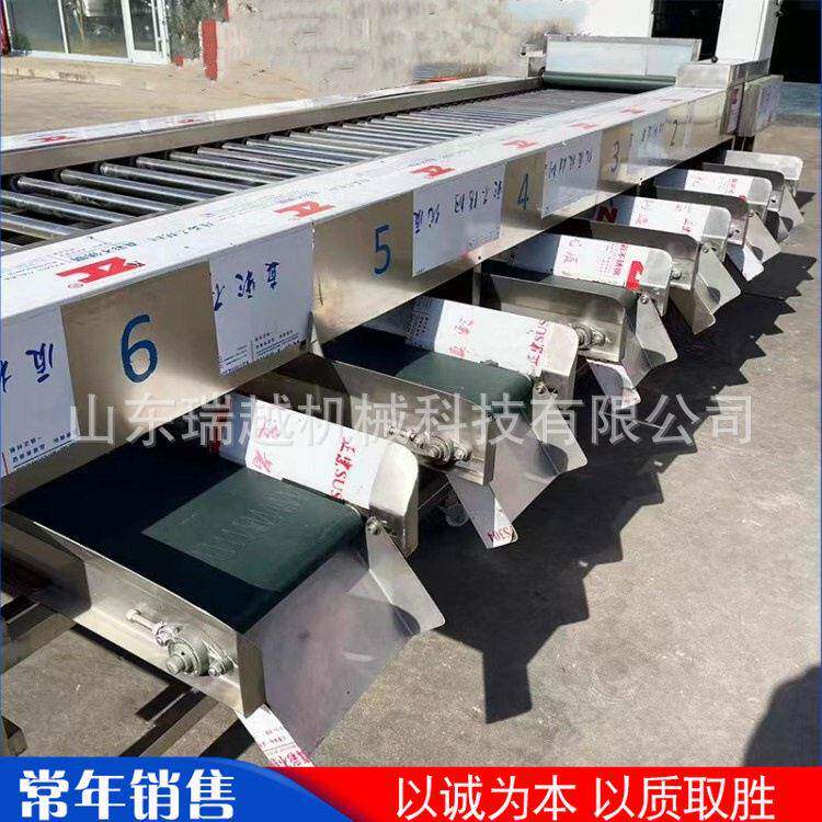 农产品加工分拣筛选机 大型芒果分级选果机 工业西红柿滚杠分选机