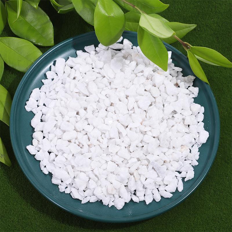 白色鹅卵石雪花白 厂家盆栽多肉铺面白色小石子园林景观石子