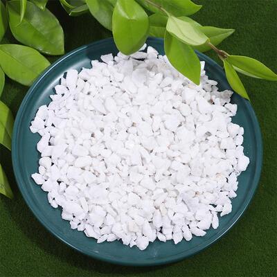 白色鹅卵石雪花白 厂家盆栽多肉铺面白色小石子园林景观石子