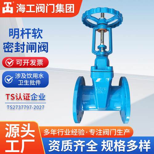 软密封开关闸阀Z41X-16Q球墨铸铁法兰弹性座明杆海工阀门大口径