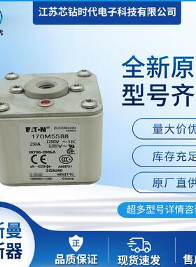 170M5588 170M5589 170M5590 巴斯曼BUSSMANN熔断器保险丝