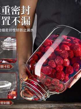 杨梅泡酒玻璃瓶青梅酿酒酒瓶自酿果酒密封罐容器空瓶一件直销