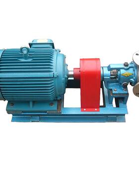 不锈钢高粘度齿轮泵帕姆泵NYP50-RU-T2-W11输送糖蜜转子泵