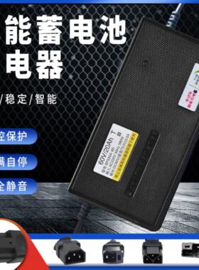 适用 爱德森电动车电瓶充电器48V12AH60V20AH72V32AH64V84v智能