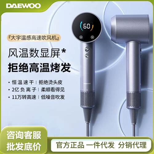 大宇DAEWOO高速吹风机HD04负离子护发电吹风低噪音速干