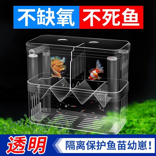 热带鱼孵化器存活率鱼缸孵化器
