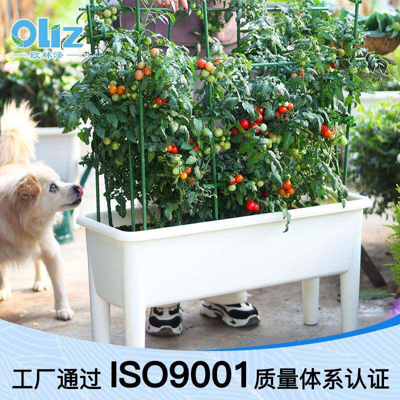 林泽台种菜盆高脚种菜盆艺园塑料花欧盆大号庭院长方阳形SC09白种