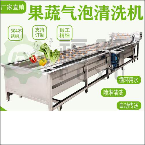 大型果蔬气泡清洗机福煦空心菜龙须菜清洗机大枣气泡清洗机