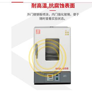 1250恒温鼓风干燥箱 760 泰斯特触摸屏电热鼓风干燥箱WGL 625L660
