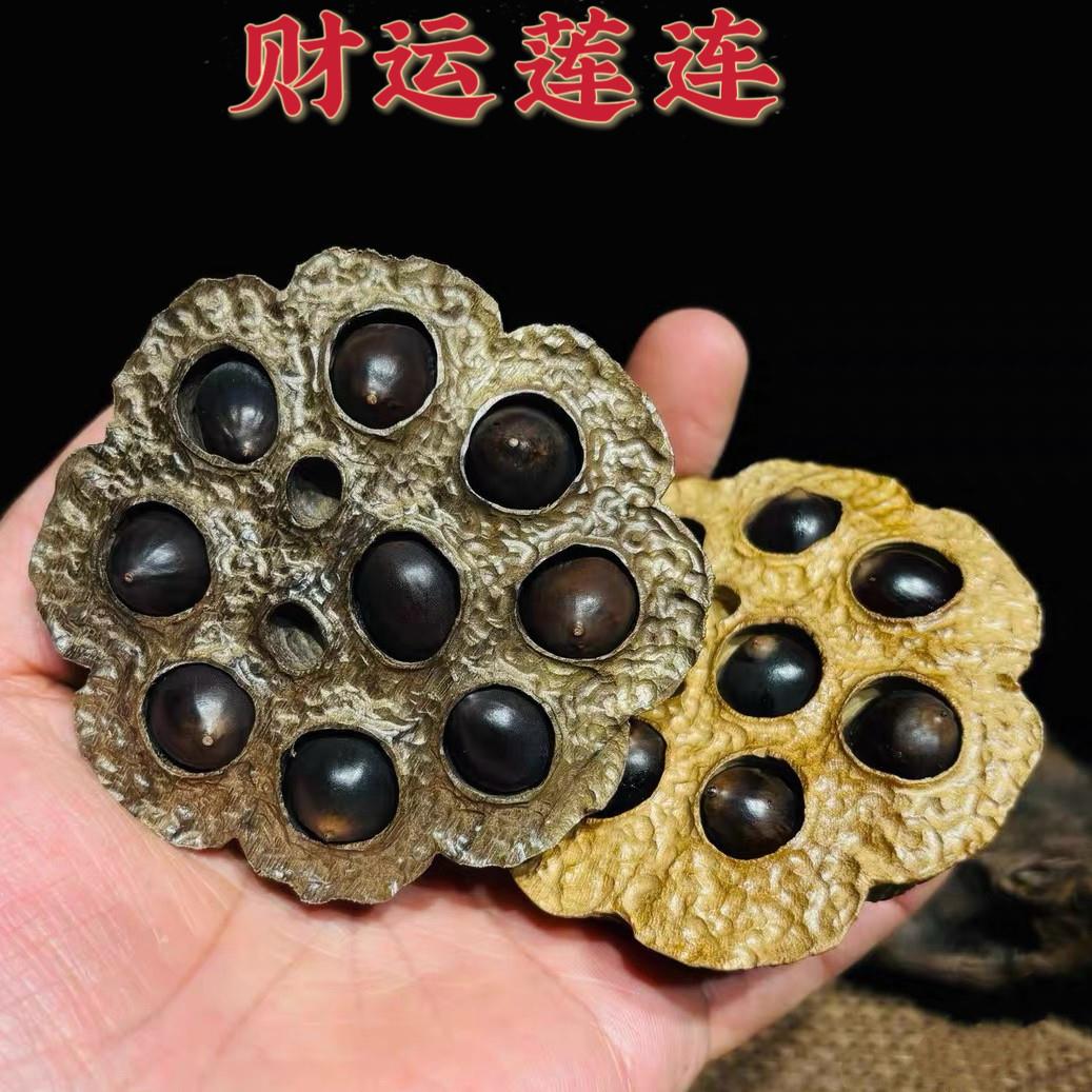【财运莲连】金丝楠木精品莲蓬手把件摆件枯莲雕塑茶宠家居摆饰