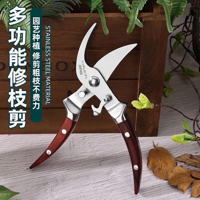 全钢树枝剪刀修枝剪专用枝剪园艺修花花剪园林剪刀修剪枝果树图片