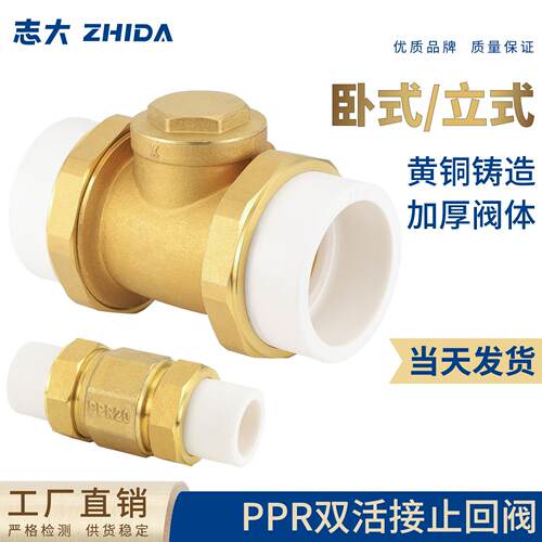 PPR止回阀铜卧立式双活接单向阀逆止自来水管表4/6分DN20/25热熔