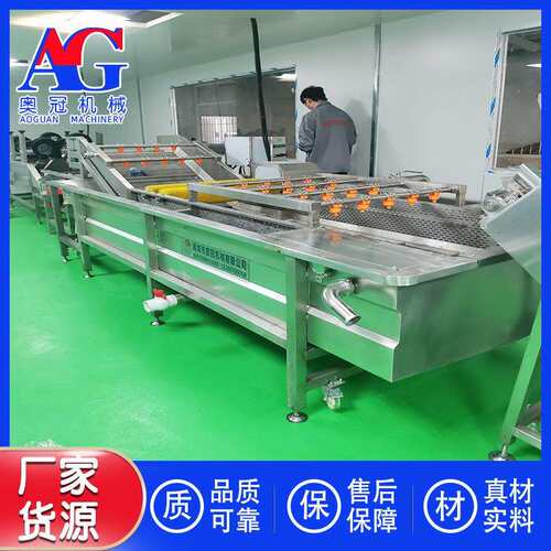 刺梨清洗杂质机器 贵州农业项目加工设备 农作物深加工设备机器
