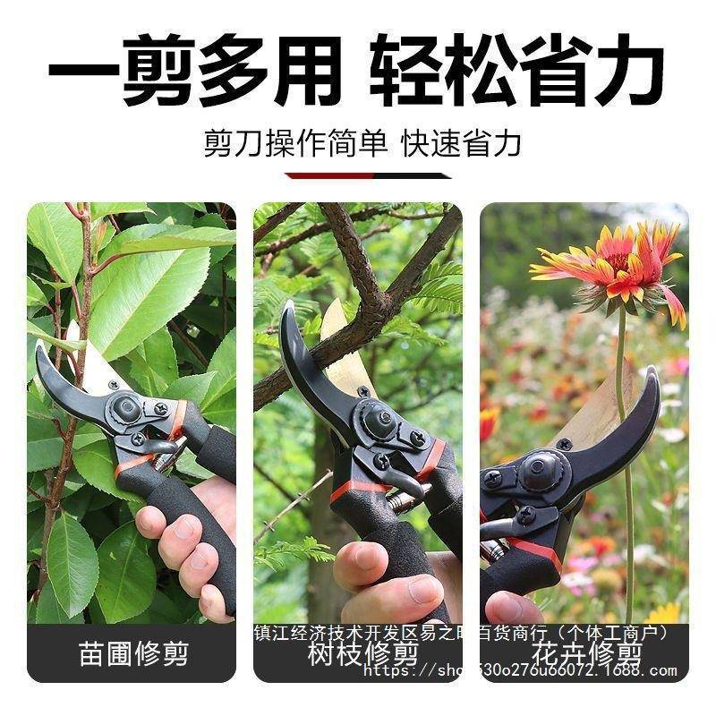 德国进口钢SK修枝5剪省力家用果树园林枝PXD剪接花艺嫁园粗艺剪工