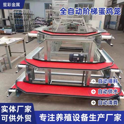 全自动阶梯式四层蛋鸡笼养殖设备鸡舍自动供水上料养殖阶梯蛋鸡笼