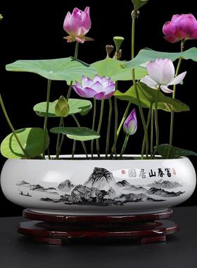 大号陶瓷水仙花盆无孔水培铜钱草一叶莲大口径水养植物碗莲专用盆