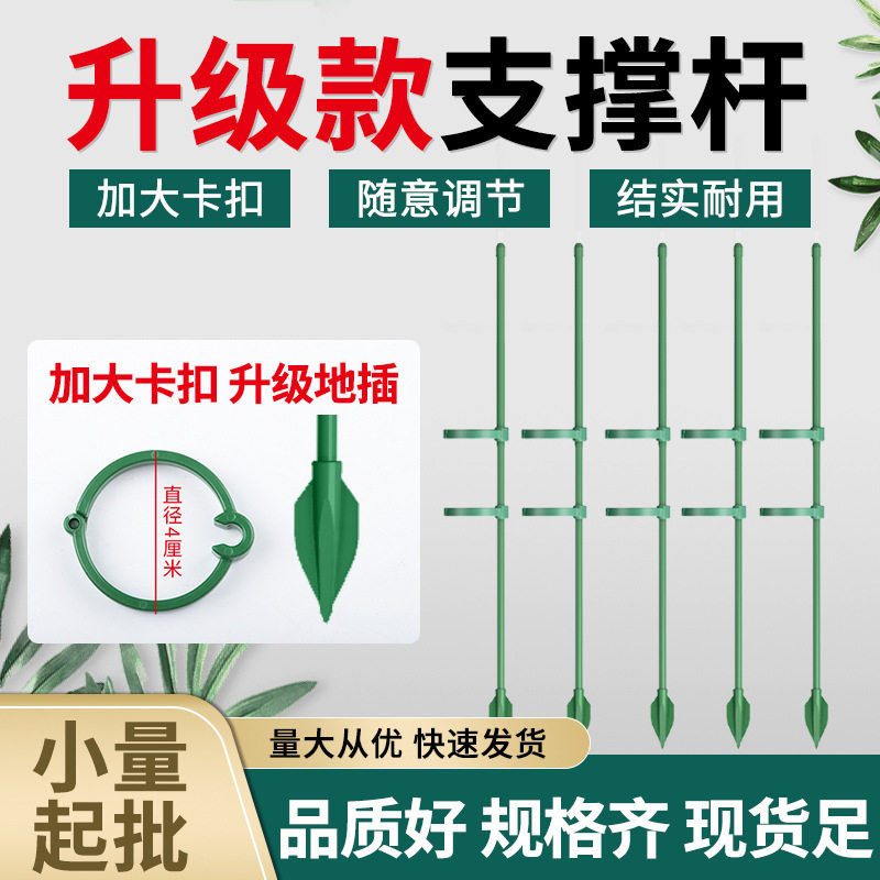 蝴蝶兰园艺植物支撑园艺用品套装