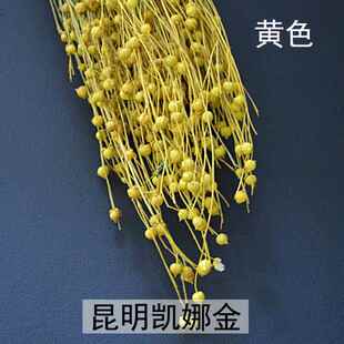 新款直销永生花花材情人节母情节礼品生日礼品圣诞节礼品配材相思