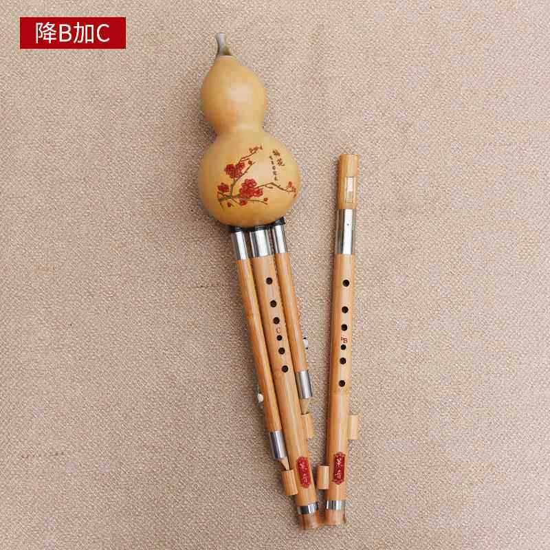 正品耐楠竹双调葫芦丝F加G降B加调音准易吹不用成人演奏专业乐器