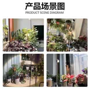 全光谱植灯物补光内仿KDS太阳光绿植花卉肉落地式植多物生室长灯
