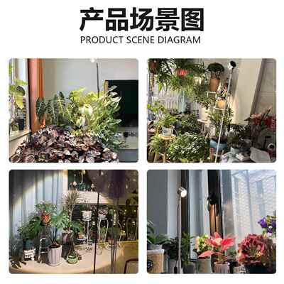 全光谱植灯物补光内仿KDS太阳光绿植花卉肉落地式植多物生室长灯