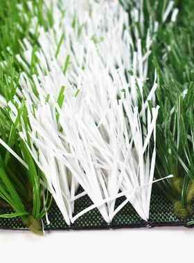 人造足球场草中小草RKX学校场坪仿真绿色室垫子育场内外球场专操