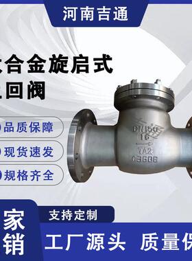 供应H44W钛合金止回阀法兰连接旋启式钛止回阀硬密封钛合金止回阀