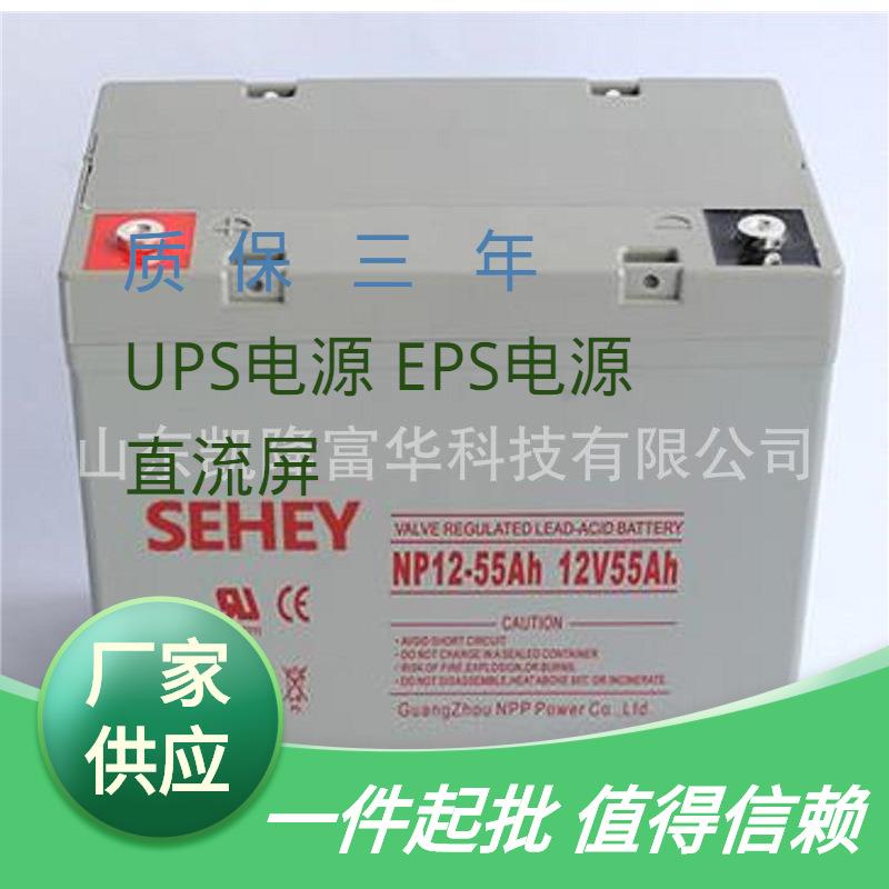 NP12-55铅酸免维护密封电池12V55ah直流屏EPS储能SEHEY西力蓄电池