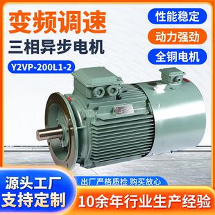 江苏大中电机Y2VP 2变频调速低压三相异步电动机 200L1