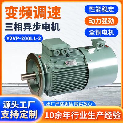 电机Y2VP-200L1-2变频调速低压三相异步电动机